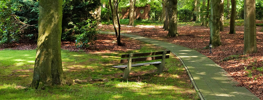 Dennenheuvel